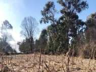 The plot for commercial purpose in Kobuleti, Georgia Photo 3