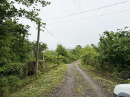 House for sale with a plot of land in Ozurgeti, Georgia. Photo 15