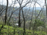 Земельный участок с видом на море и город Батуми, Грузия. Фото 4