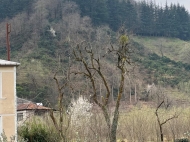 Продается частный дом с земельным участком в Лихаури, Грузия. Фото 52