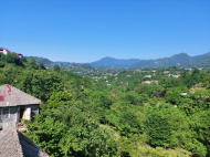 ყიდვა კერძო სახლის მიწის ნაკვეთით ქალაქგარეთ ბათუმში, ახალშენი. ფოტო 15