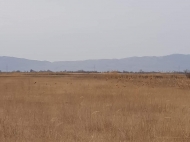 Land parcel, Ground for sale in the suburbs of Tbilisi, Natakhtari. Photo 6