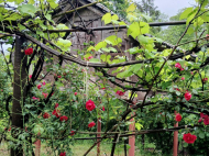 Купить дом с земельным участком в пригороде Супса, Грузия. Фото 8