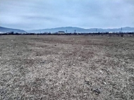 Land parcel, Ground for sale in the suburbs of Tbilisi, Natakhtari. Photo 3