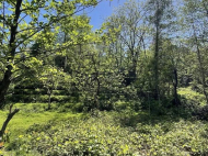 House for sale with a plot of land in the suburbs of Batumi, Georgia. Near the river. Photo 5