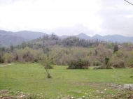 Земельный участок в курортной зоне Цхалтубо, Грузия. Фото 2