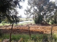 იყიდება მიწის ნაკვეთი ფერმით ოზურგეთში, ლაითური, საქართველო. ფოტო 8