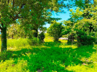 House for sale with a plot of land in Khutsubani, Georgia. Photo 5