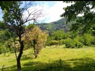 Land for sale near the sea in Gonio, Georgia. Photo 1