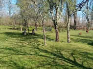 Land parcel, Ground area for sale in the suburbs of Senaki, Georgia. Natural spring, Orchard, Walnut garden. Near the river. Photo 9