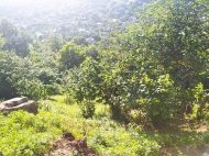 Продается земельный участок в пригороде Батуми, Грузия. Фото 9
