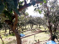 Land parcel, Ground area for sale in a resort district of Chakvi, Sachino. Tangerine garden. Photo 3