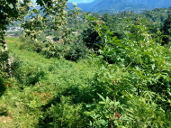 Land parcel, Ground area for sale in the suburbs of Batumi. Saliʙauri. Photo 3