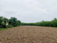 Land parcel, Ground area for sale in the suburbs of Kutaisi, Georgia. Photo 6