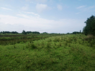 Land parcel, Ground area for sale in Natanebi, Georgia. Photo 3