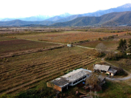 An existing agricultural complex for sale. Lagodekhi, Georgia. Photo 12