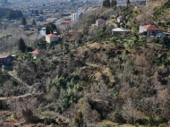 Купить частный дом с земельным участком в пригороде Батуми, Грузия. Фото 11