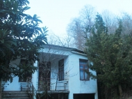 Продается частный дом с земельным участком в Квирике, Грузия. Фото 3