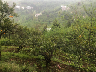 Land parcel, Ground area for sale in the suburbs of Batumi, Georgia. Photo 2