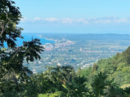 Земельный участок в курортной зоне Чакви, Сачино. Грузия. Вид на море. Фото 2