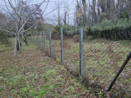 Купить дом с земельным участком в пригороде Озургети, Грузия. Фруктовый сад. Ореховый сад. У реки. Фото 16