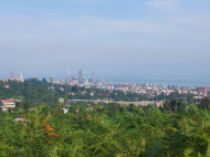 Land parcel, Ground area for sale in the suburbs of Batumi, Georgia. Photo 1