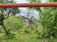 Land parcel, Ground area for sale in Makhinjauri, Georgia. Tangerine garden, Orchard. Photo 4