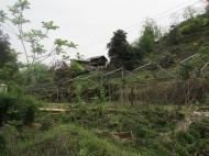 Земельный участок у серных вод в Махинджаури,Аджария,Грузия. Фото 3