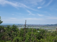 Suburban land for sale in Charnali, Batumi, Georgia. Ground area with sea view. Photo 5