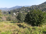 Land for sale on the top of Tkhilnari, Adjara, Georgia. Photo 1