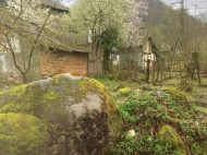 Buy a house by the river near Ozurgeti, Georgia. Forested area, resort area, very beautiful location. Photo 7