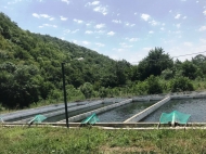 Fish farm. Аn existing agricultural complex for sale. Photo 4