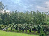 House for sale with a plot of land in Zugdidi, Georgia. Photo 7