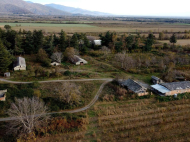 An existing agricultural complex for sale. Lagodekhi, Georgia. Photo 11