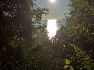 Продается земельный участок у моря в Квариати, Грузия. Вид на море. Фото 8