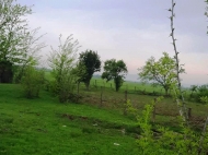 Продается земельный участок с фермой в пригороде Зестафони, Грузия. Действующий бизнес. Фото 5