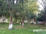Land plot on the Black Sea coast in Kobuleti, Georgia. Beneficial for investment projects. Photo 6