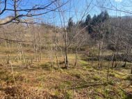 Land parcel, Ground area for sale in the suburbs of Batumi. Akhalsheni. Photo 2