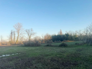 House for sale with a plot of land in Samtredia, Georgia. Near the river. Photo 10