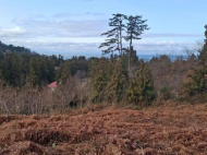 იყიდება მიწის ნაკვეთი ზღვასთან. მწვანე კონცხი, საქართველო. ზღვის ხედებითაა მიწა. გამოდგება საინვესტიციო პროექტებისთვის. ფოტო 2