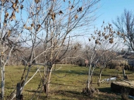 a private house with a land plot for sale 30 kilometers from Tbilisi Photo 2