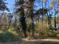 Продается земельный участок в Уреки, Грузия. Фото 2
