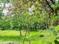 House for sale with a plot of land in the suburbs of Ozurgeti, Georgia. Near the river. Photo 8