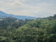 Дом на продажу в Цихисдзири. Продается дом с видом на горы в Цихисдзири, Грузия. Фото 13