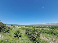 Land parcel, Ground area for sale in Kaspi, Georgia. Photo 2