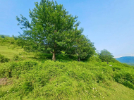 Land parcel, Ground area for sale in the suburbs of Batumi. Akhalsheni. Near the river. Natural spring. Photo 10