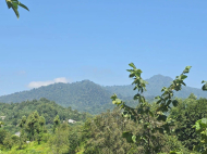 House for sale in a resort district of Chakvi, Georgia. Photo 2