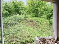 House for sale with a plot of land in Ozurgeti, Georgia. Photo 12
