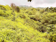 An unfinished house with a plot of land is for sale. Land parcel, Ground area for sale in Sakhalvasho, Green Cape, Georgia. Photo 2