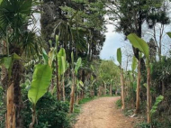 იყიდება კერძო სახლი მიწის ნაკვეთით ციხისძირში, საქართველო. ფოტო 3